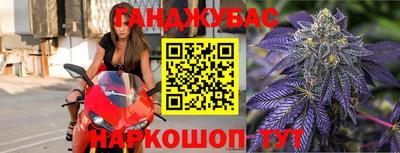 шишки Шахты